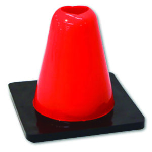 Weighted Cone